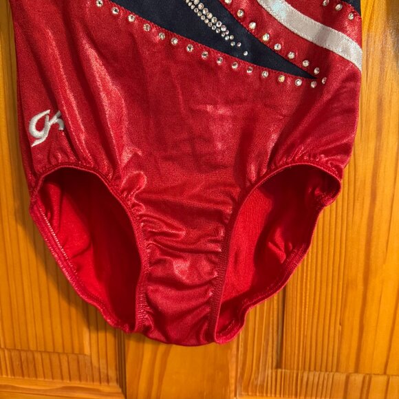 Gk Long Sleeve Gymnastics Leotard - Picture 4 of 10